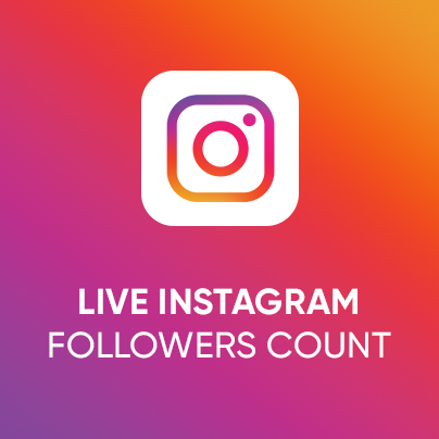 Instagram Follower Count
