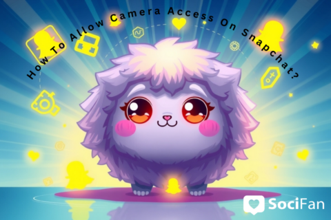 How To Allow Camera Access On Snapchat?