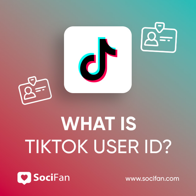 What is TikTok User ID?